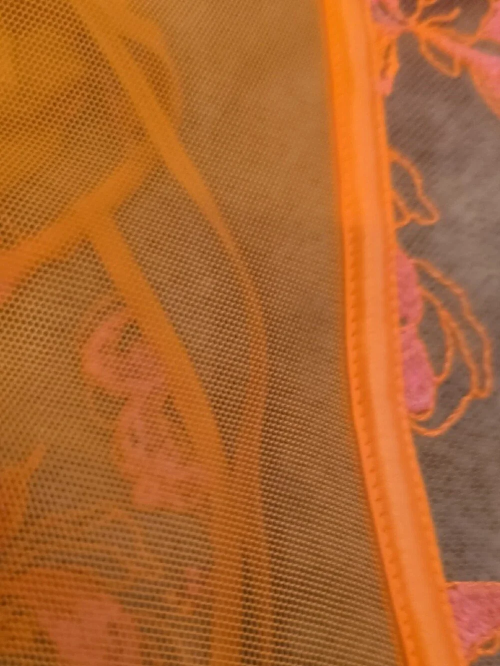 Honey Birdette Orange Sheer Bustier & Bikini Set with Pink Floral Embroidery